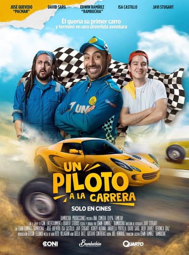 A Pilot on the Run poster