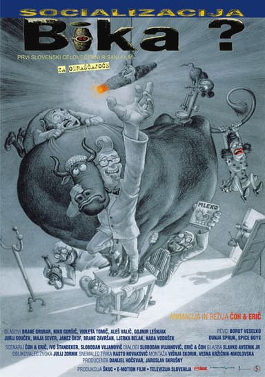 Socializing The Bull? poster