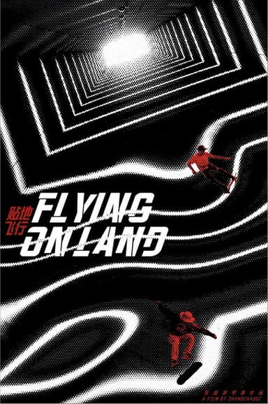 Flying On Land poster