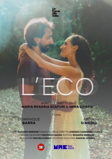 The Echo poster
