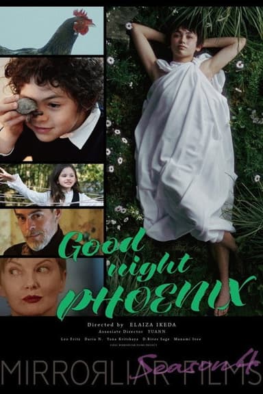 Good night PHOENIX poster
