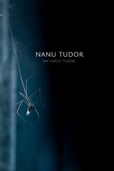My Uncle Tudor poster