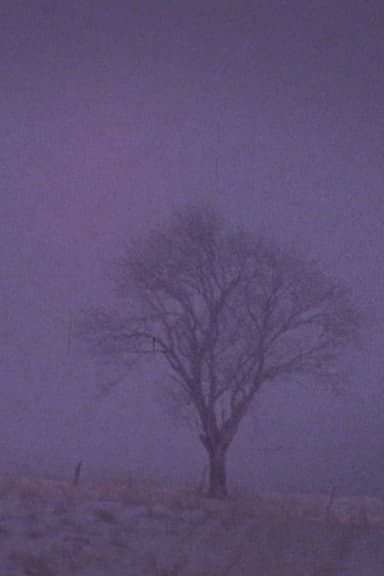 Tree Over the Valley, Eaton poster