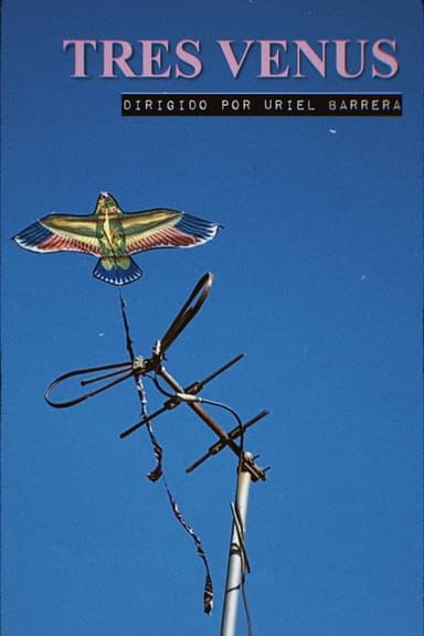 Three Venus poster