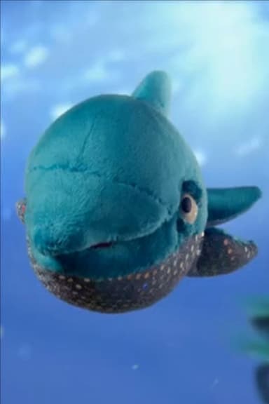 Dolphin poster