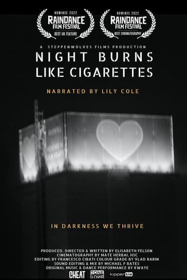 Night Burns Like Cigarettes poster