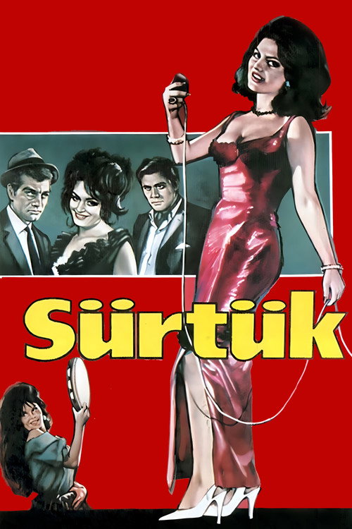 Bitch poster