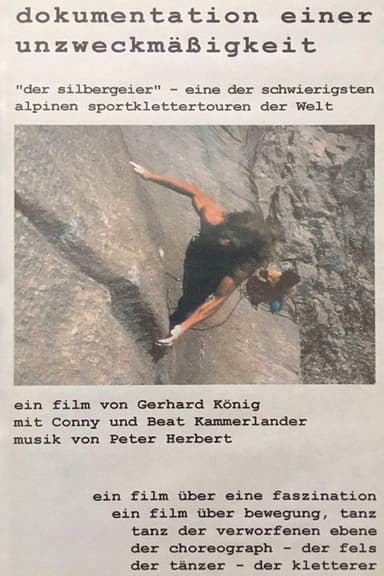 Dokumentation einer Unzweckmäßigkeit poster