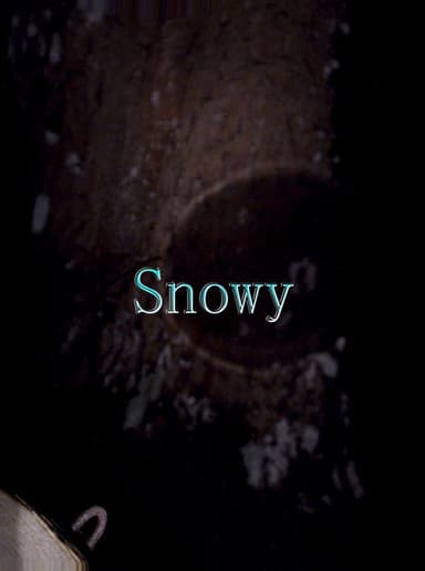 Snowy poster