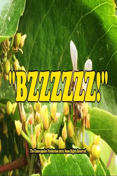 BZZZZZZ! poster
