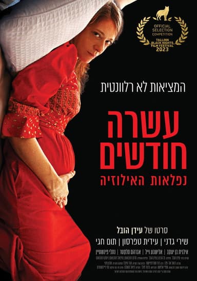 Ten Months poster