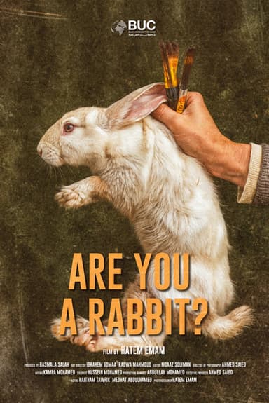 Are You A Rabbit? poster