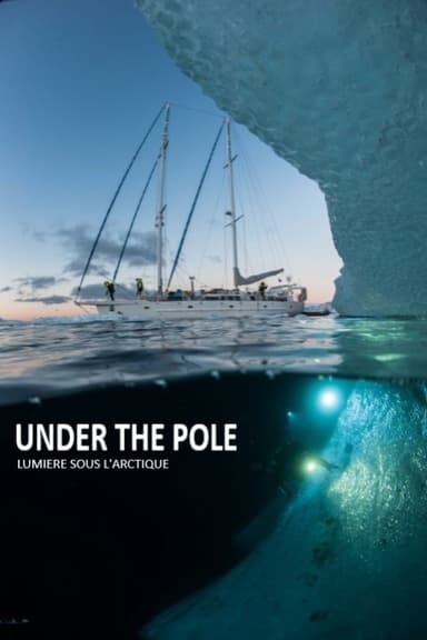 Under The Pole : Lumière Sous l'Arctique poster