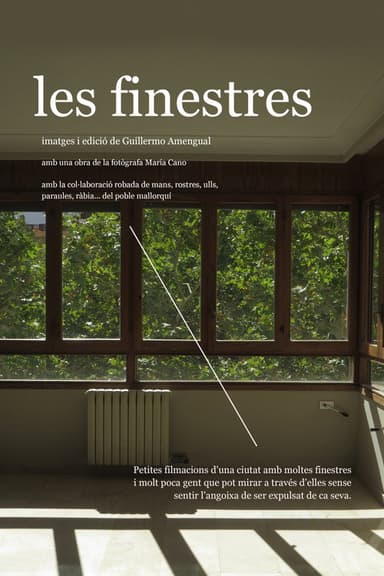 The windows poster