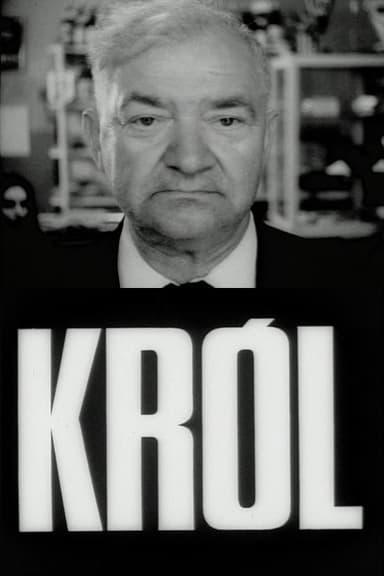 The King poster