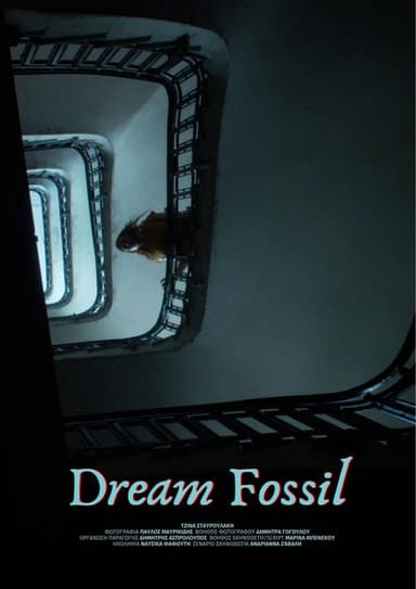 Dream Fossil poster