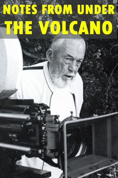 Notes from Under the Volcano poster