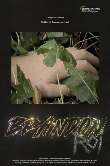 Brandon Roi poster