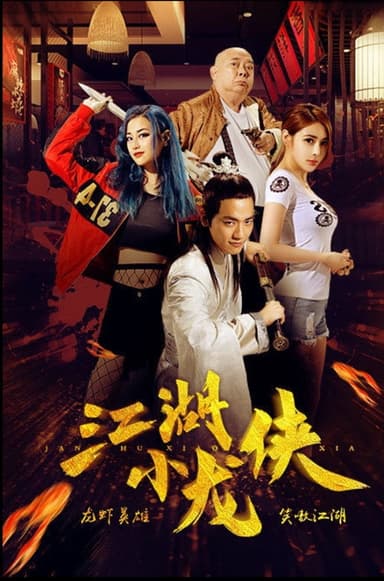 江湖小龙侠 poster