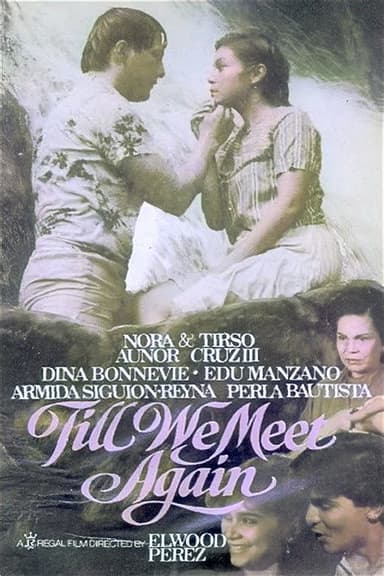 Till We Meet Again poster