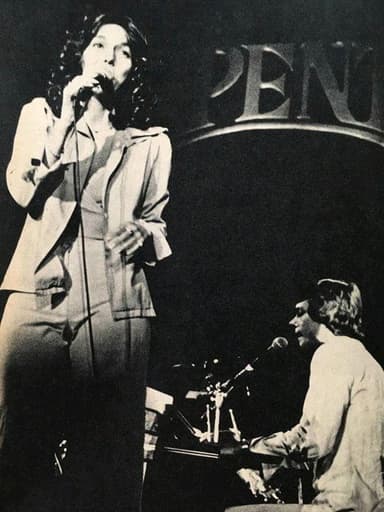 Carpenters: Live at Budokan poster