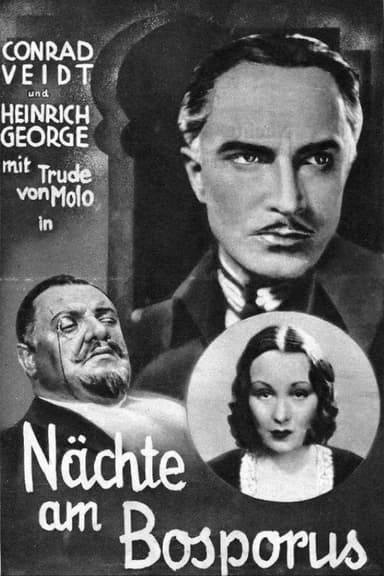 The Man Who Committed the Murder poster