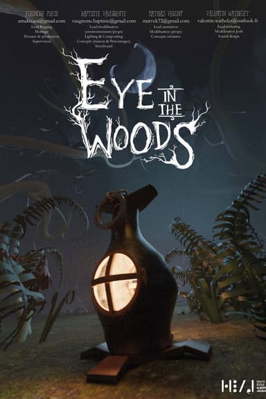 Eye in the Woods poster