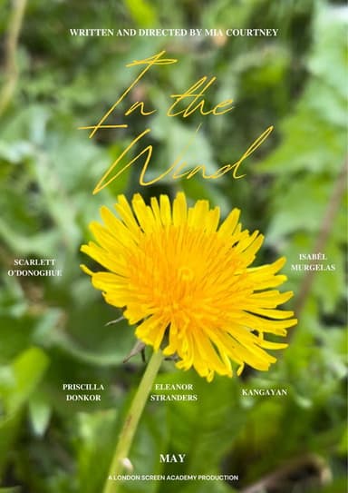 In The Wind poster