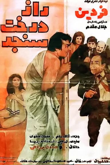 The secret of the oleaster tree poster