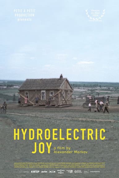 Hydroelectric Joy poster
