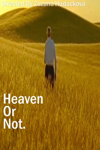 Heaven Or Not poster