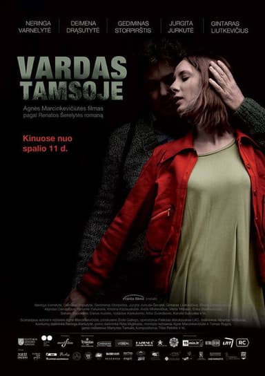Name in the Dark poster