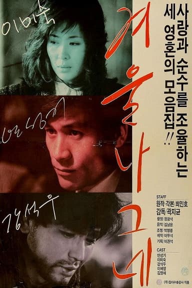 Winter Wanderer poster
