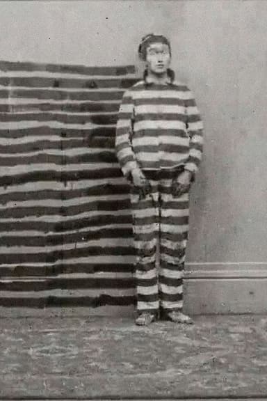 The Disintegrated Convict poster