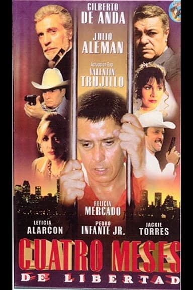 Cuatro meses de libertad poster
