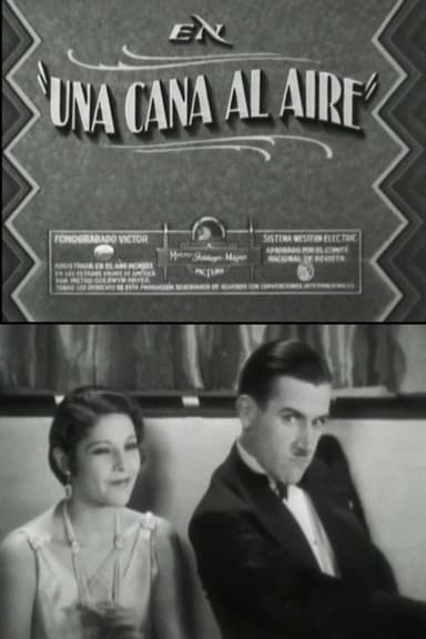 A gray in the air poster