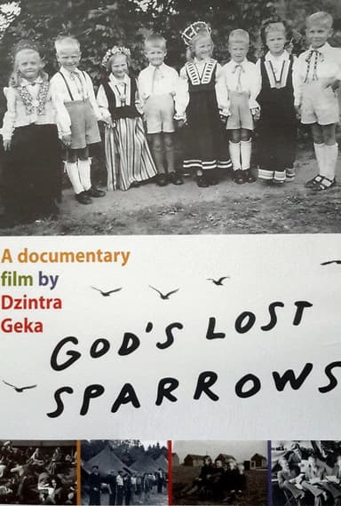 God's Lost Sparrows poster