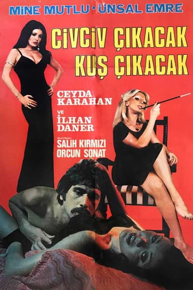 Civciv Çıkacak Kuş Çıkacak poster