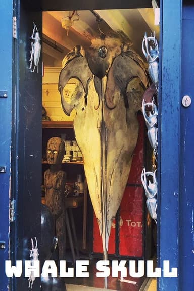 Whale Skull poster