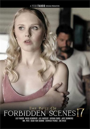 The Best of Forbidden Scenes 17 poster