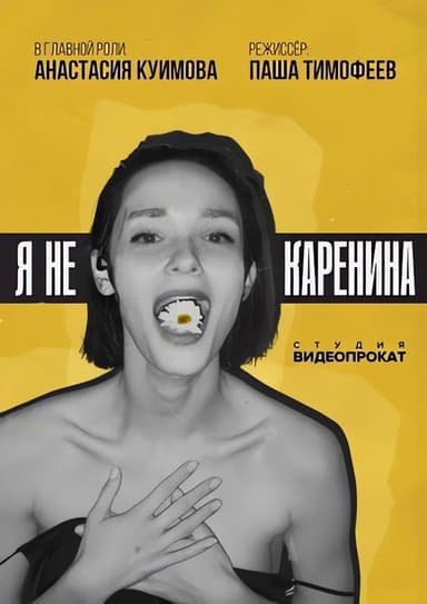 Not Karenina poster