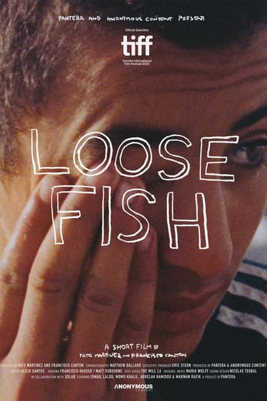 Loose Fish poster