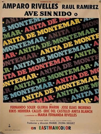 Ave sin nido poster