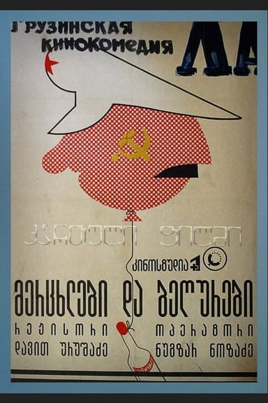 Swallows and Sparrows poster