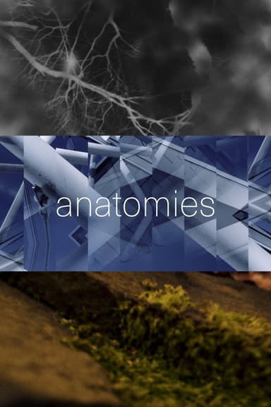 anatomies poster