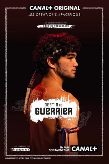 Destin de guerrier poster