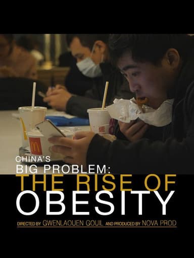 China's Big Problem: The Rise of Obesity poster