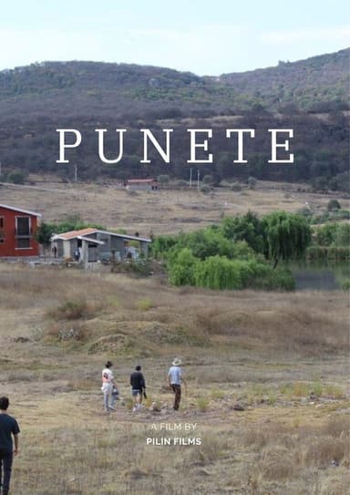 "PUNETE" poster