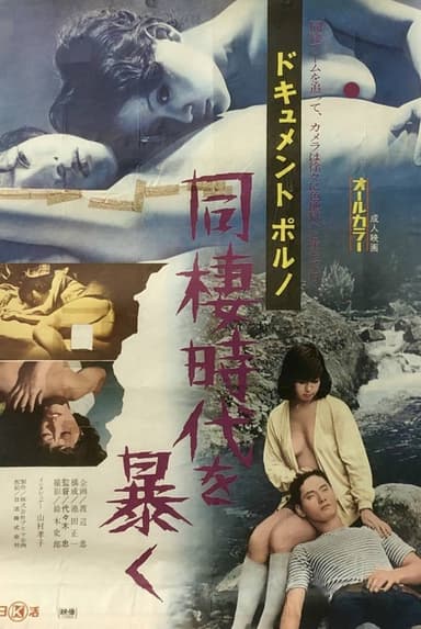 Document porno: Dôsei jidai o abaku poster