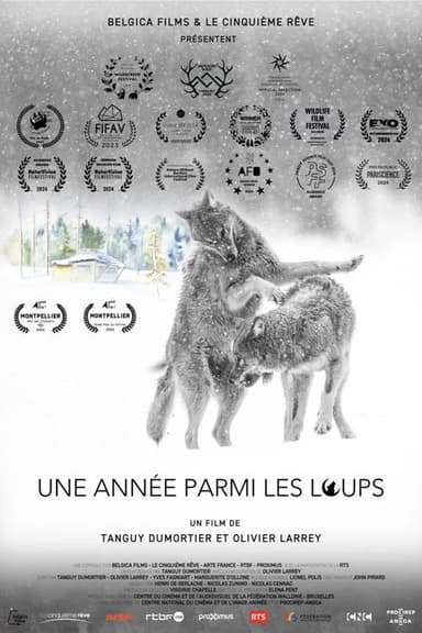 Une année parmi les loups poster